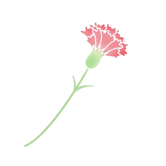Illustration, carnation, mother's day, simple, 