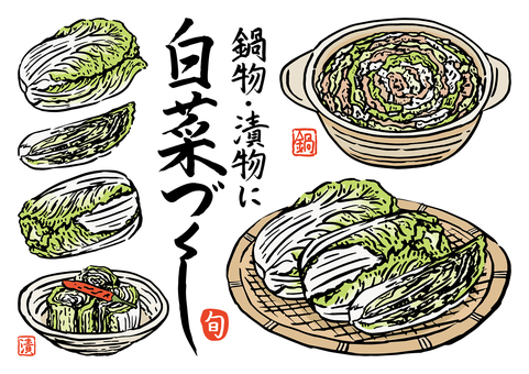 筆書き-白菜づくし-カラー 冬,旬,白菜,はくさい,野菜,料理,鍋物,漬物,和食,ザルのイラスト素材