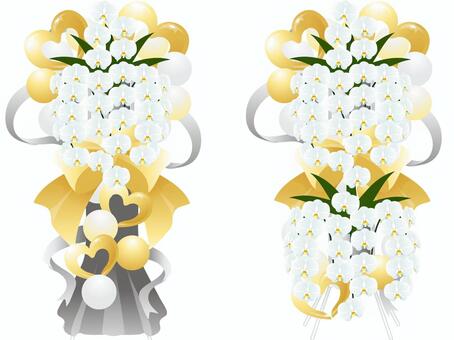 Illustration, phalaenopsis orchid, flower stand, flower, 