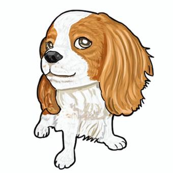 キャバリア 犬,キャバリア,イギリス,動物,ペット,可愛いのイラスト素材