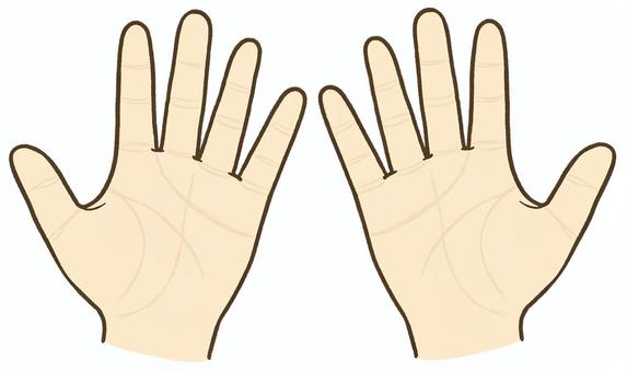 両手のひら 手,両手,手のひら,指,手首,体,パーツ,ハンドケア,美容,皮膚のイラスト素材
