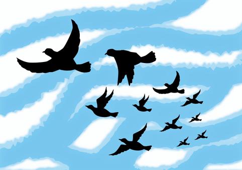 野鳥飛ぶ　 野鳥,飛ぶ,群れ,移動,渡り鳥,見上げる,空,シルエットのイラスト素材