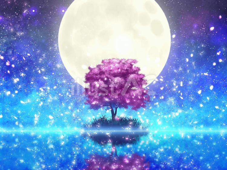 水面に映る夜の桜と大きな満月 背景,風景,景色のイラスト素材