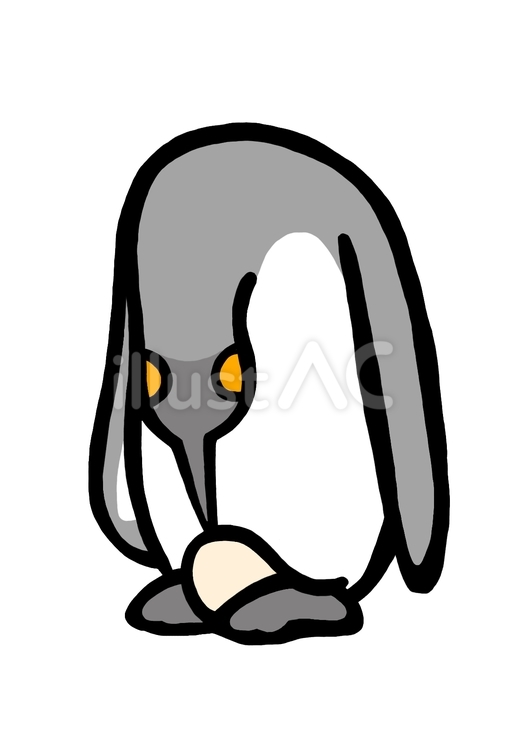 キングペンギンと卵 キングペンギン,オウサマペンギン,ペンギンのイラスト素材
