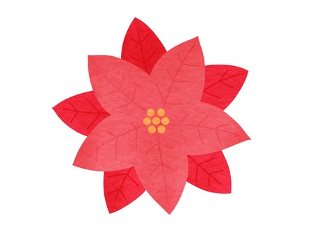 ポインセチアの手描き水彩イラスト