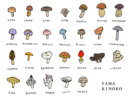 天然きのこまとめ（カラー） きのこ,クリタケ,ハナイグチ,ヒラタケ,ナラタケ,ショウゲンジ,ヤマドリタケ,ヤマドリタケモドキ,ムラサキシメジ,ウラムラサキシメジのイラスト素材