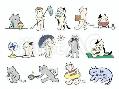 猫・暮らしセット No.10(カラー)