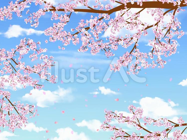 桜 新学期,飾り枠,枠のイラスト素材