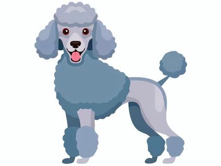 グレーのプードルのイラスト