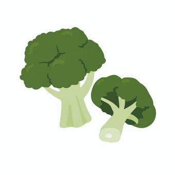 ブロッコリー 小学校,中学校,高校,教材,授業,社会,ブロッコリー,野菜,食べ物,農産物のイラスト素材