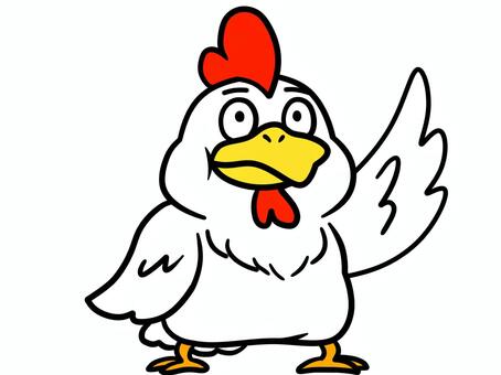 翼（手）をあげる鳥 翼,ニワトリ,鳥,挙手,動物のイラスト素材