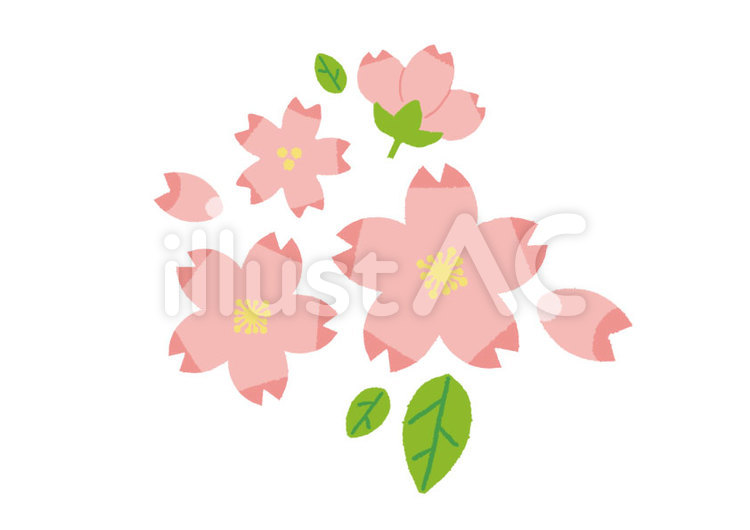 さくら 桜,春,葉っぱのイラスト素材
