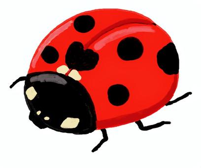 てんとう虫 てんとう虫,昆虫,赤,手描き,リアルのイラスト素材