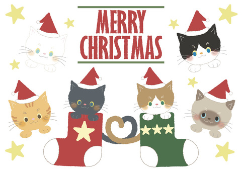 クリスマス-ねこサンタセット