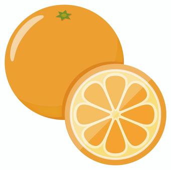 Illustration, orange, fruit, food, 