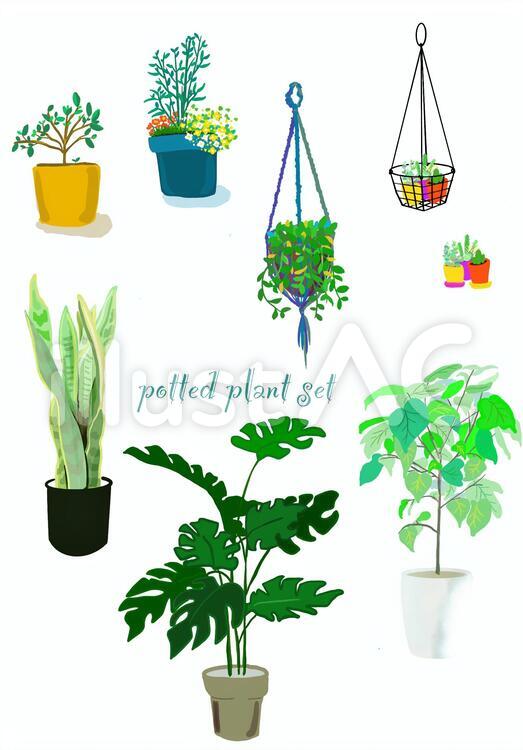 観葉植物 植物 植木 葉イラスト No 無料イラストなら イラストac