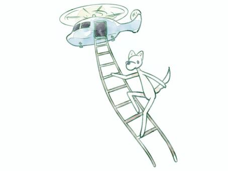 Illustration, dog, cute, helicopter, 