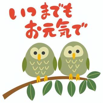 Illustration, 