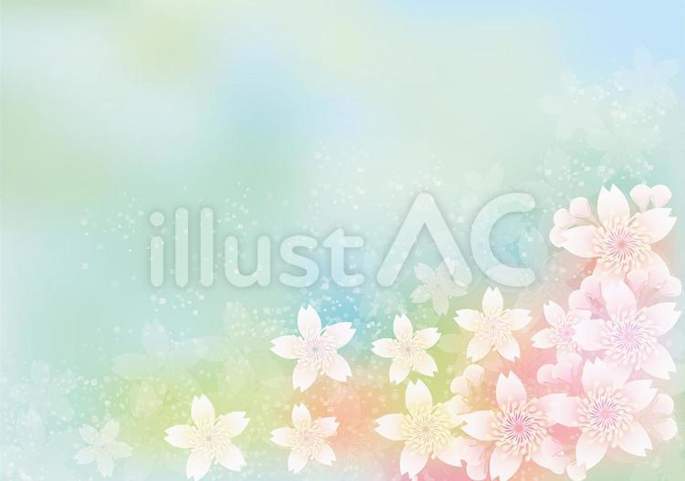 桜花爛漫268 花,桜,春のイラスト素材