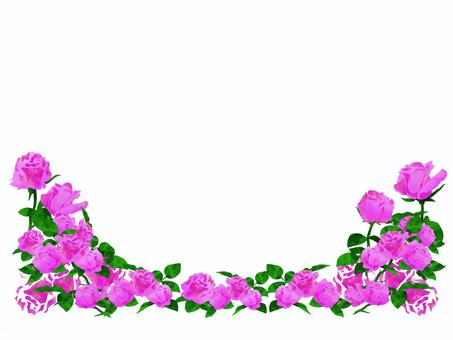 華やかなピンクのバラのガーランド バラ,ピンク,フレーム,水彩,背景,薔薇,ロース,華やか,可憐,あざやかのイラスト素材