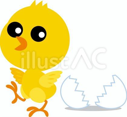 ひよこ