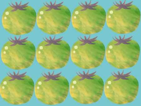 緑色のトマトの背景(水色) 緑色,トマト,tomato,野菜,ベジタブル,シンプル,背景,夏野菜,水色,かわいいのイラスト素材