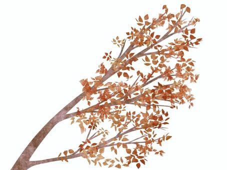 木の枝C 赤 木の枝C 赤 木,枝,葉,赤,紅葉,樹木,街路樹,広葉樹,並木,植物のイラスト素材