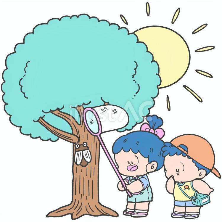 セミ捕りをする子どもたちの手描きイラスト セミ捕り,蝉,虫とりのイラスト素材
