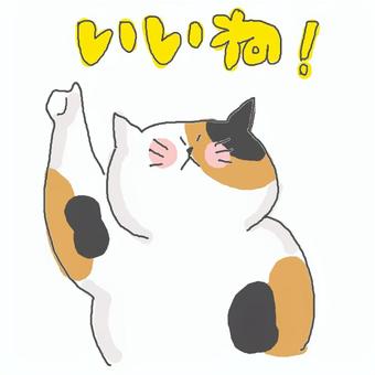 いいね♪ かわいい,いいね,良い,褒める,賛成,グッド,返事,返信,ねこ,三毛猫のイラスト素材