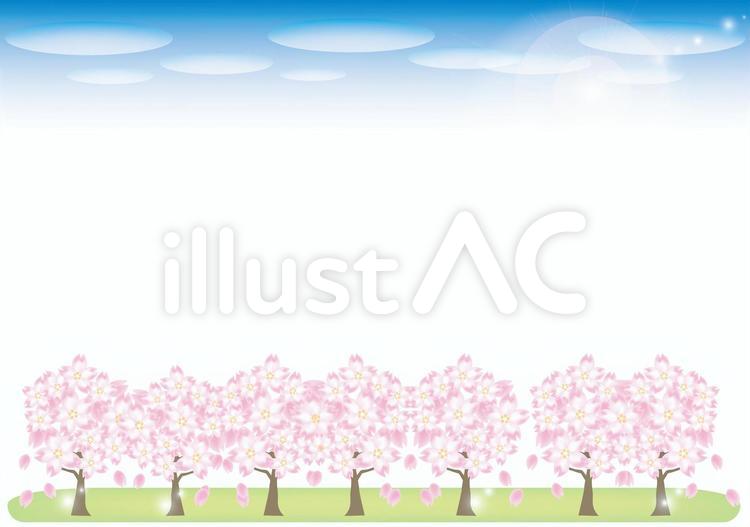 桜並木と青空 観光スポット,四月,ソメイヨシノのイラスト素材