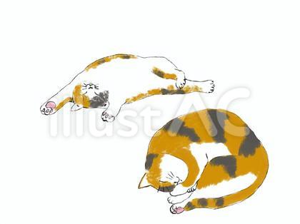 眠っている三毛猫