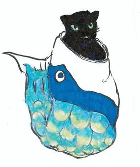 Illustration, cat, black cat, carp streamer, 