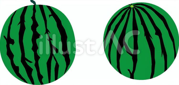 スイカ すいか,西瓜,夏のイラスト素材