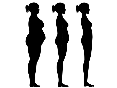 体型 体型,ダイエット,セット,身体,体,スリム,細身,やせ型,肥満,標準のイラスト素材