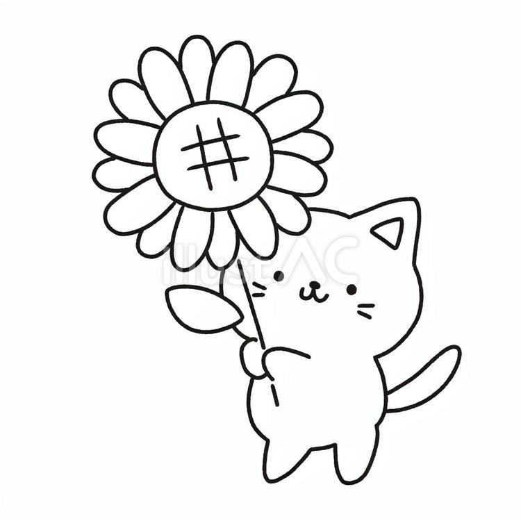 猫と向日葵 向日葵,猫,夏のイラスト素材