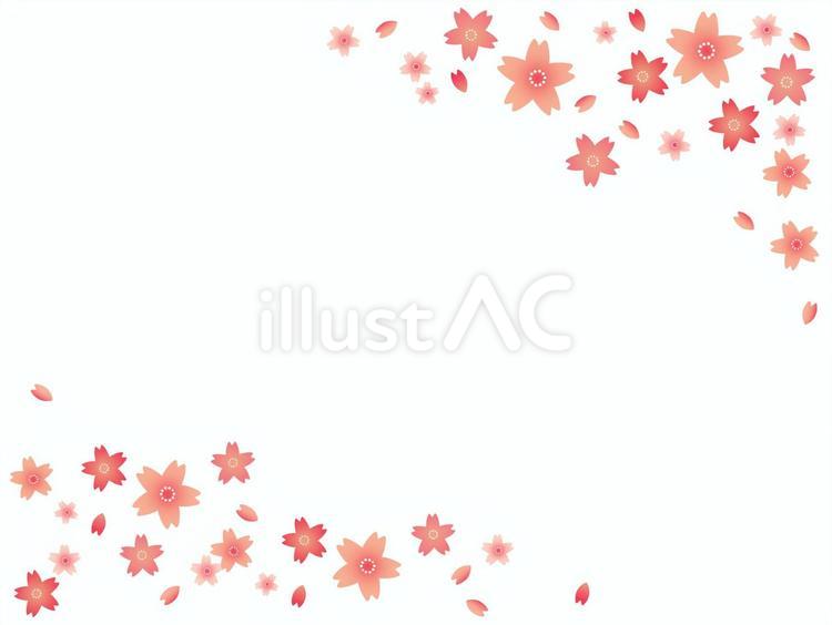 桜と花びらのフレーム 桜,花びら,ひなまつりのイラスト素材
