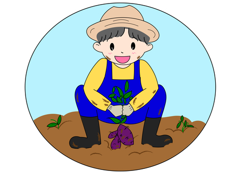 お芋掘りをする男の子 芋,芋掘り,畑,さつまいも,お芋掘り,男の子,サツマイモ,農業,幼稚園,園児のイラスト素材