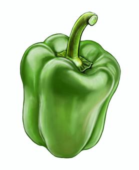 ピーマン　イラスト　素材 ピーマン,食べ物,アイコン,アート,リアル,イラスト,素材のイラスト素材
