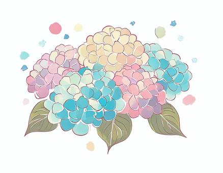 hydrangea flower, , JPG and PNG