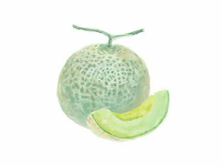 水彩絵の具で描いたメロンのイメージ メロン,水彩,食べ物,リアル,水彩画,フルーツ,果物,手描き,手書き,セットのイラスト素材