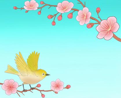 梅の花とメジロ 梅,鳥,花,枝,つぼみ,桃色,メジロ,羽ばたく,植物,新春のイラスト素材