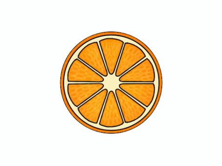 Illustration, orange, cross section, fruits, 