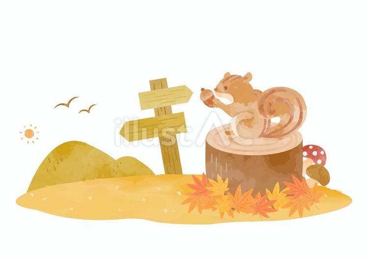 かわいいリスと秋の風景イラスト 秋,リス,動物のイラスト素材