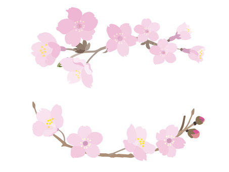 Flower decorative frame 63_spring flowers cherry blossoms, flower, cherry blossoms, sakura, JPG and PNG