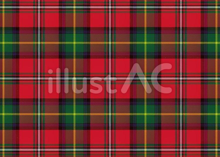 BOYD scottish,clan,tartanのイラスト素材