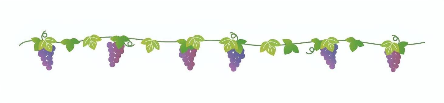 ぶどうと蔓のライン 葡萄,蔦,ライン,果物,フルーツ,ツル,葉っぱ,9月,秋,ぶどう狩りのイラスト素材