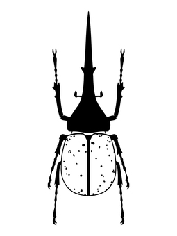 ヘラクレスオオカブト ヘラクレスオオカブト,白黒,カブトムシ,昆虫,ツノ,大きい,コウチュウ,外国産,自然,生き物のイラスト素材