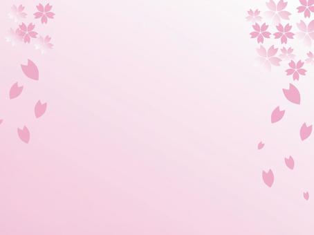 桜の背景画像