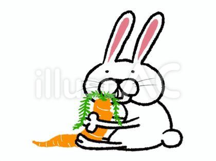 人参を食べるウサギ