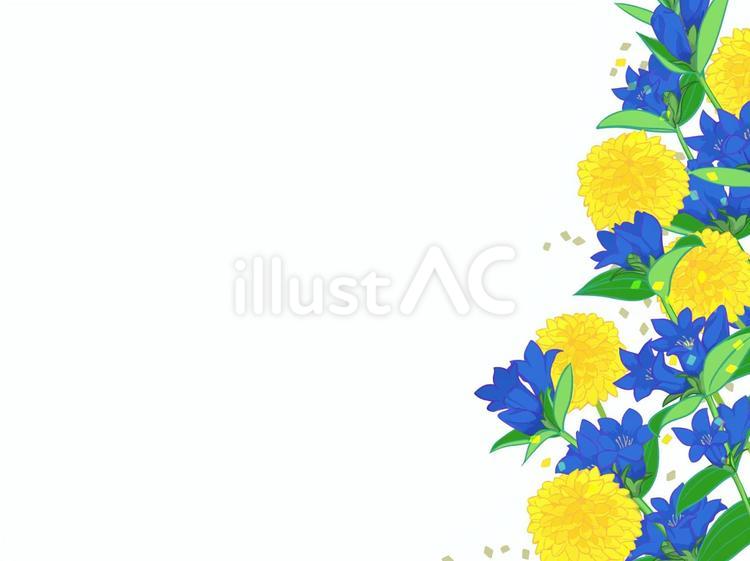 秋の花フレーム5 フレーム,横,植物のイラスト素材